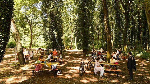 Hai mai visitato il Bosco di Paliano?