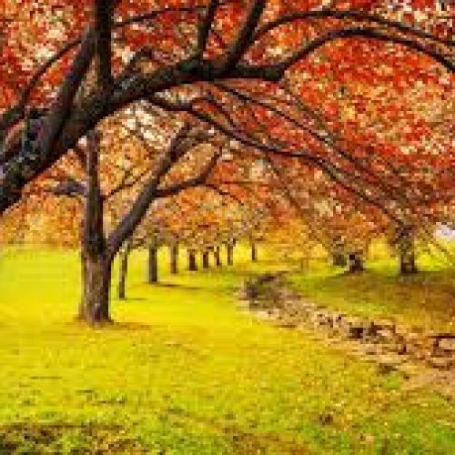 Sapori d’Autunno: torna a Roma la Fiera dei Prodotti Tipici d’Italia al Ragusa Off