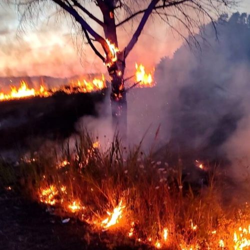 Roma in allerta : emergenza incendi